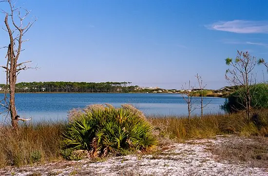 State Parks along 30A